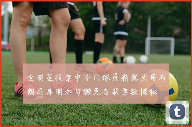 全明星投票中冷门球员崭露头角布朗尼库明加与獭兔各获票数揭秘