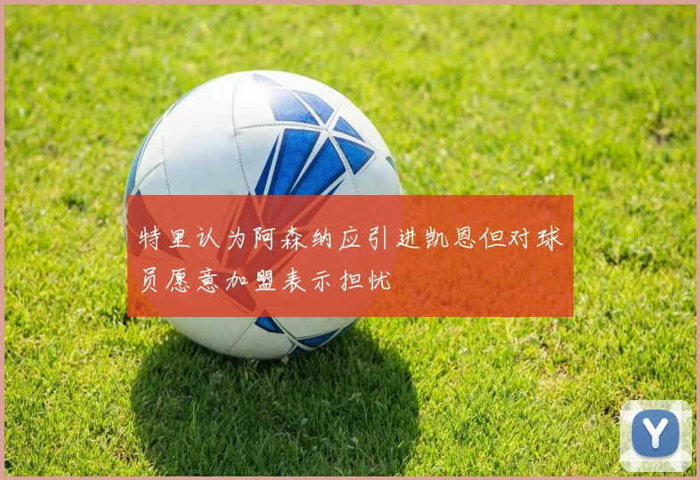 特里认为阿森纳应引进凯恩但对球员愿意加盟表示担忧
