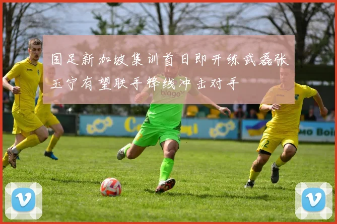 国足新加坡集训首日即开练武磊张玉宁有望联手锋线冲击对手